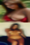 xerxesSaurer1963, , 