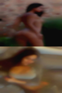 laurentlymer, , 